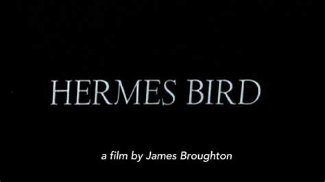 hermes bird broughton|hermes bird full movie online.